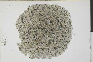 Plane Polarized, S29832
