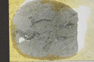Plane Polarized, S29847