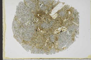 Plane Polarized, S29851