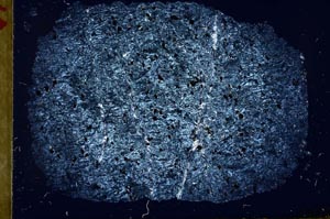 Cross Polarized, S29877