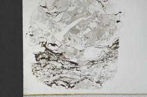 Plane Polarized, S29890