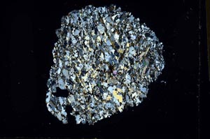 Cross Polarized, S29895