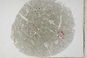 Plane Polarized, S29916