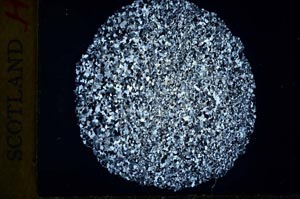 Cross Polarized, S29917