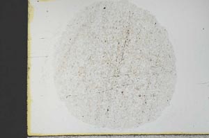 Plane Polarized, S29917