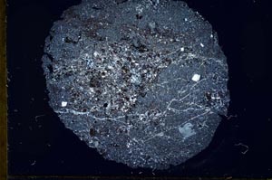 Cross Polarized, S29919