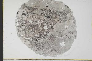 Plane Polarized, S29919