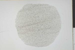 Plane Polarized, S29938