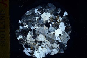 Cross Polarized, S29940