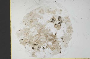 Plane Polarized, S29940