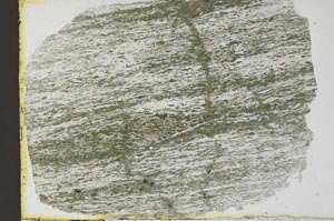 Plane Polarized, S29949