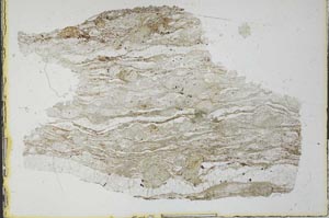 Plane Polarized, S29953