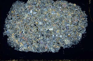 Cross Polarized, S29959