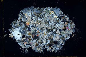 Cross Polarized, S29961