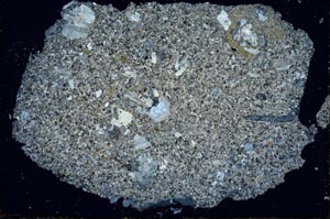 Cross Polarized, S29964