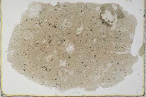 Plane Polarized, S29964