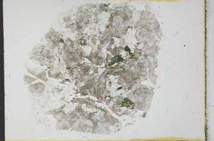 Plane Polarized, S30013
