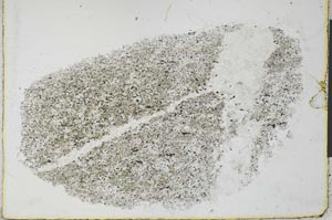 Plane Polarized, S30039