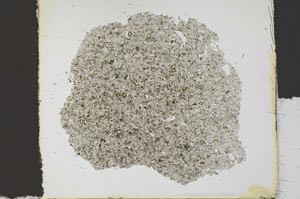 Plane Polarized, S30135