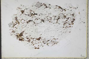 Plane Polarized, S30138