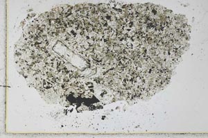 Plane Polarized, S30151