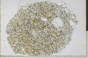 Plane Polarized, S30165