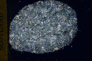 Cross Polarized, S30178