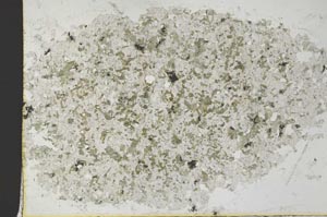 Plane Polarized, S30211