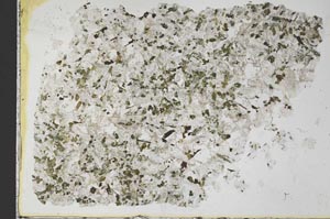 Plane Polarized, S30226