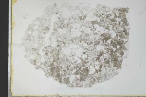 Plane Polarized, S30232
