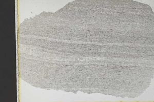 Plane Polarized, S30235