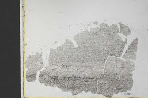 Plane Polarized, S30238