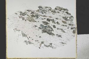 Plane Polarized, S30253