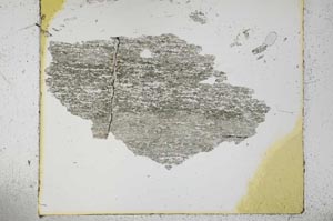 Plane Polarized, S30257