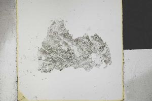Plane Polarized, S30267
