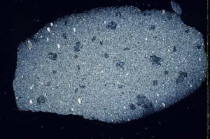 Cross Polarized, S30309