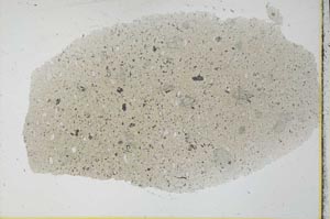 Plane Polarized, S30309