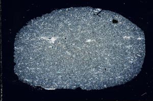 Cross Polarized, S30317