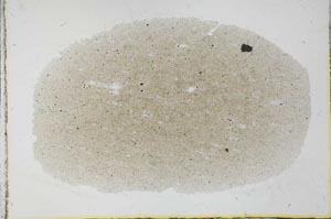 Plane Polarized, S30317