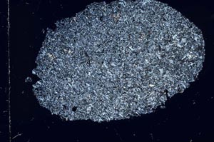 Cross Polarized, S30321