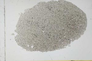 Plane Polarized, S30321