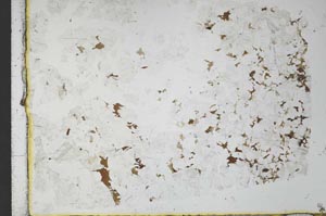 Plane Polarized, S30350
