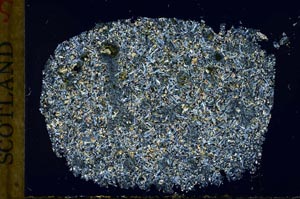 Cross Polarized, S30368