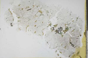 Plane Polarized, S30377