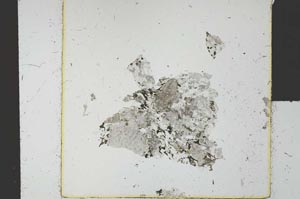 Plane Polarized, S30381/A