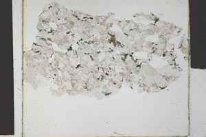 Plane Polarized, S30382