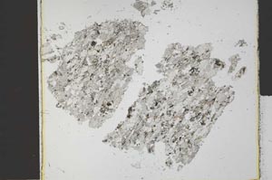Plane Polarized, S30383