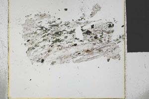 Plane Polarized, S30424