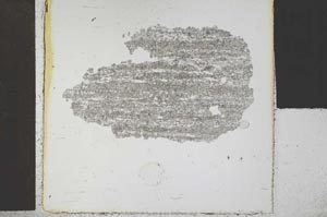 Plane Polarized, S30436