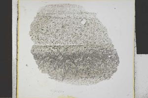 Plane Polarized, S30440